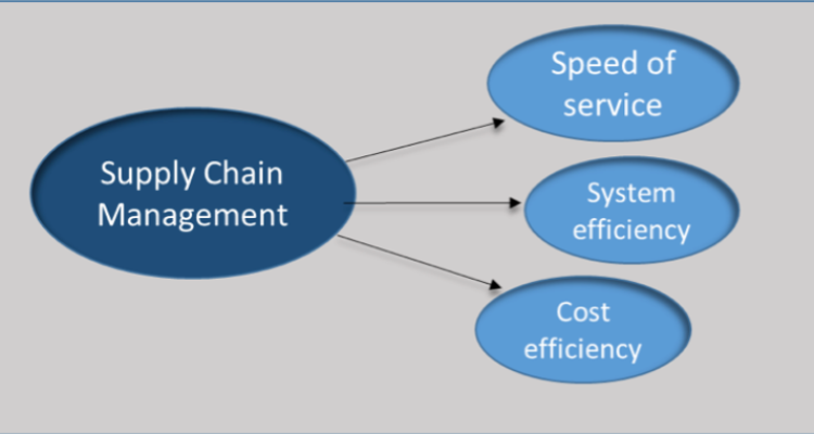 The Efficiency of the Supply Chain Management
