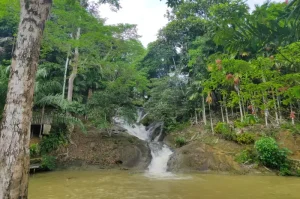 Pinang Seribu Waterfall, A Stunning Tiered Waterfall in Samarinda
