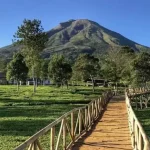 Tourist Destinations in Wonosobo That Are Suitable for an Adventurous Vacation